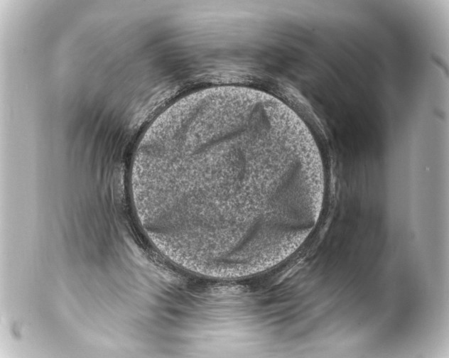 X0000100210202200806271711