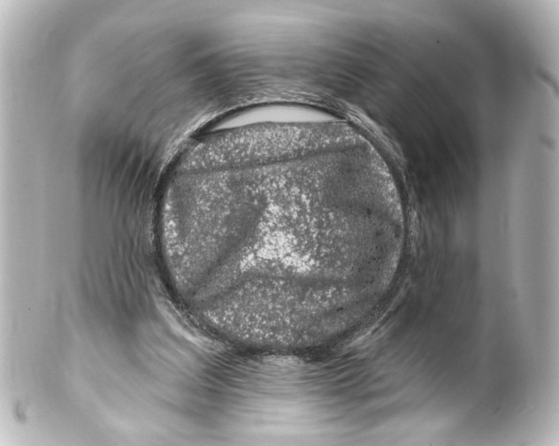 X0000100210203200806271711