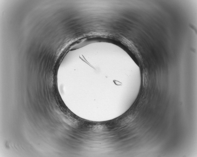 X0000100210204200806271711