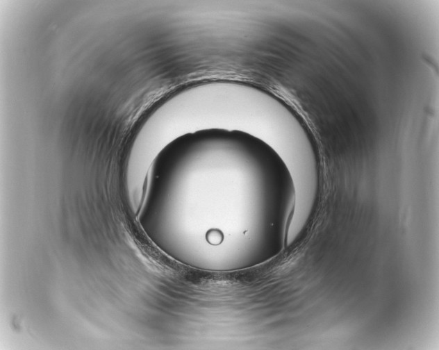 X0000100210205200806271711