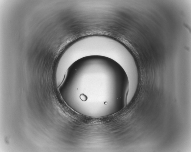X0000100210207200806271711
