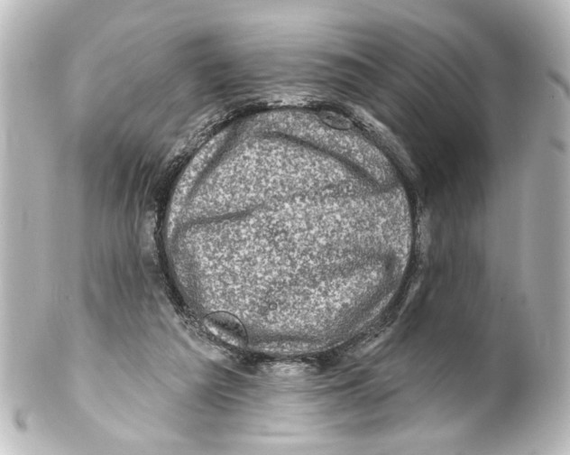 X0000100210209200806271711