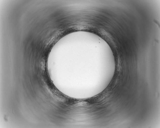 X0000100210210200806271711