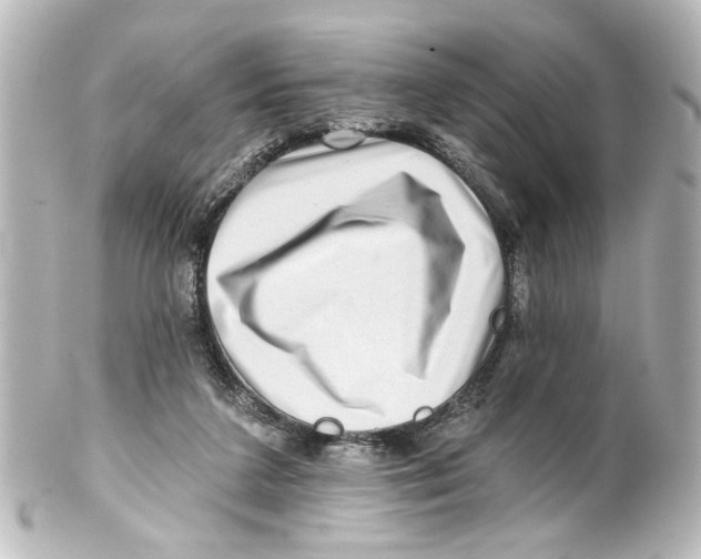 X0000100210211200806271711