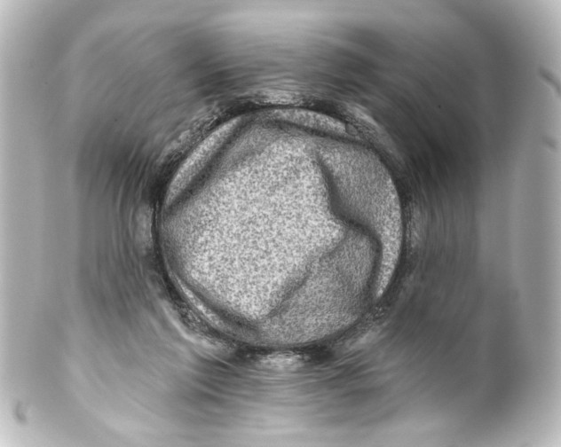 X0000100210213200806271711