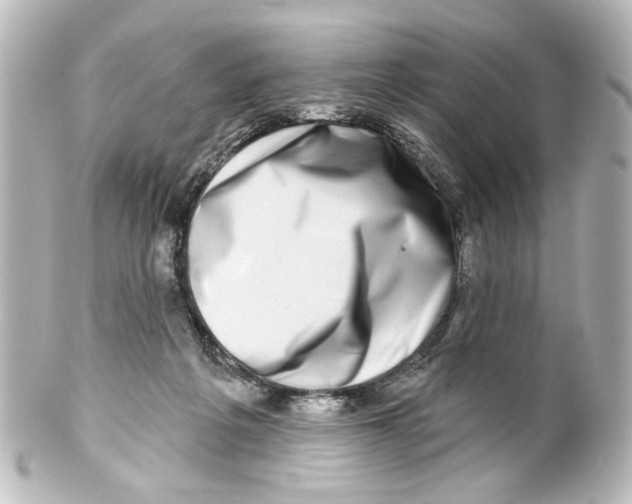 X0000100210217200806271711