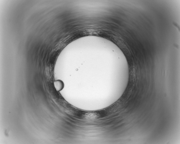 X0000100210218200806271711