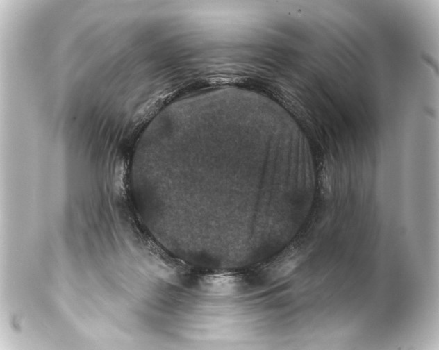 X0000100210219200806271711