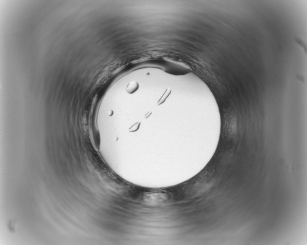 X0000100210220200806271711
