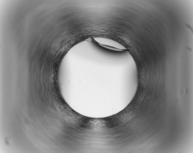 X0000100210221200806271711