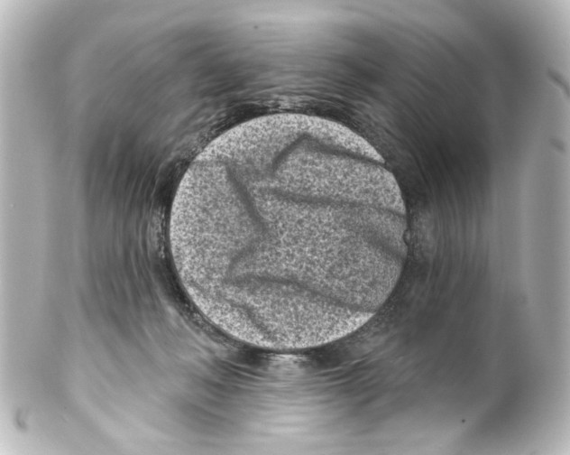 X0000100210222200806271711
