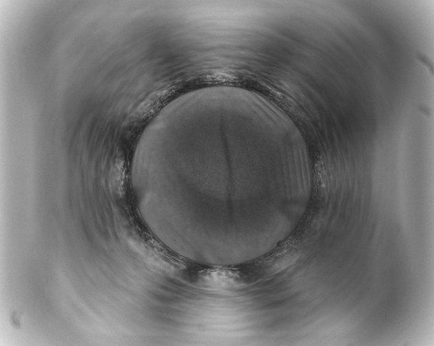 X0000100210223200806271711