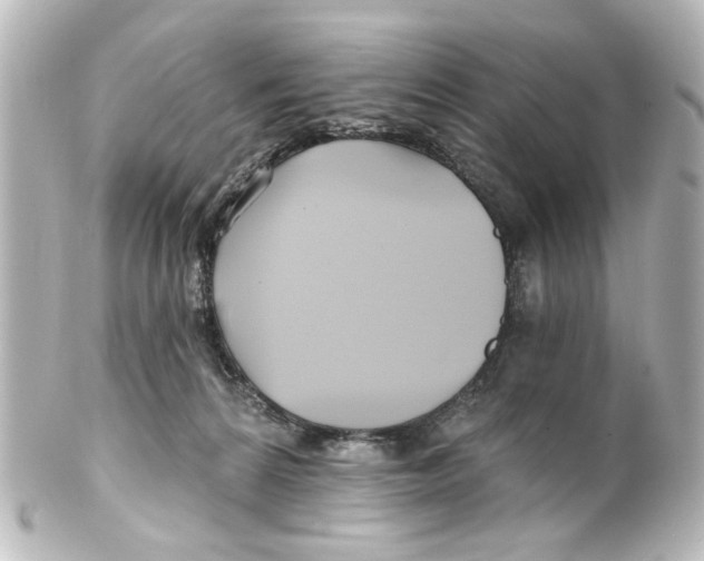 X0000100210224200806271711