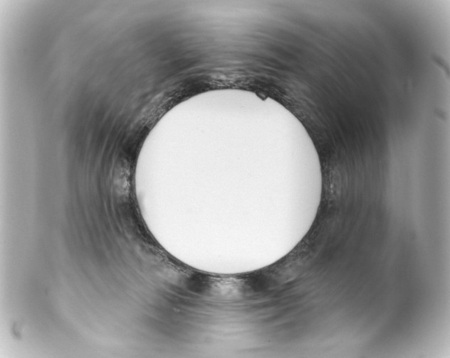 X0000100210226200806271711
