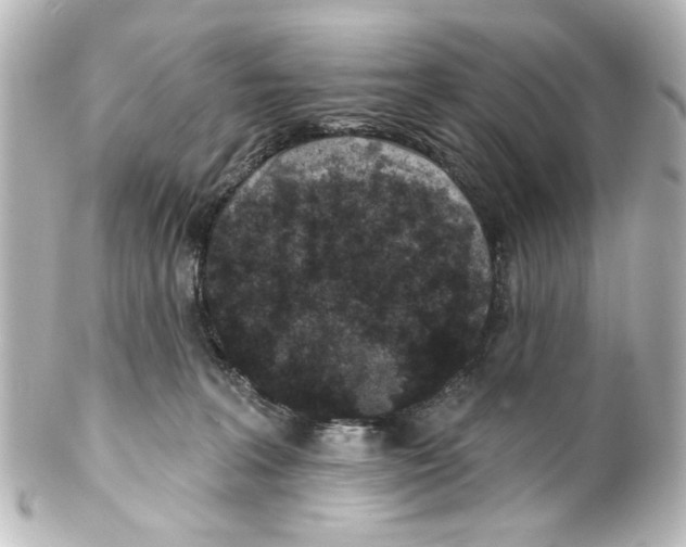 X0000100210227200806271711