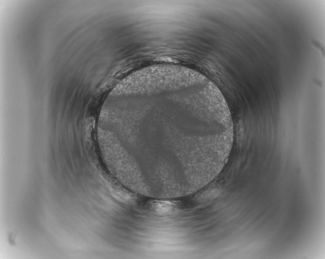 X0000100210229200806271711