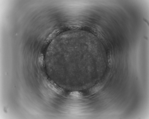 X0000100210231200806271711