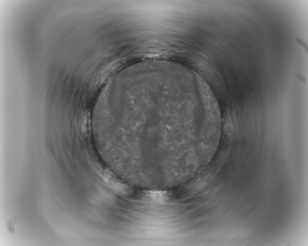 X0000100210233200806271711