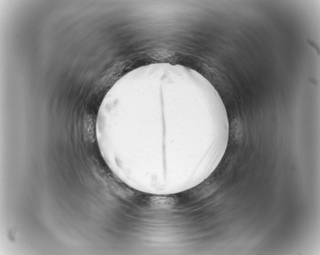 X0000100210234200806271711