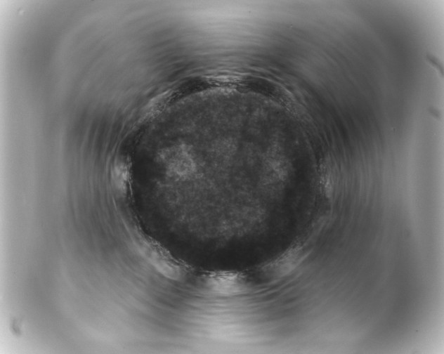 X0000100210235200806271711