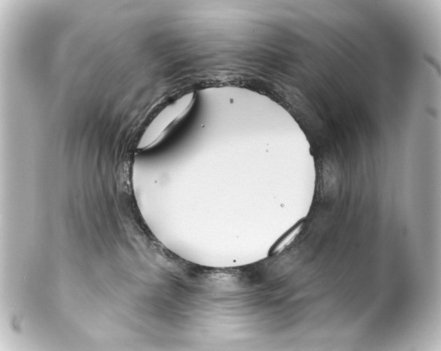 X0000100210236200806271711