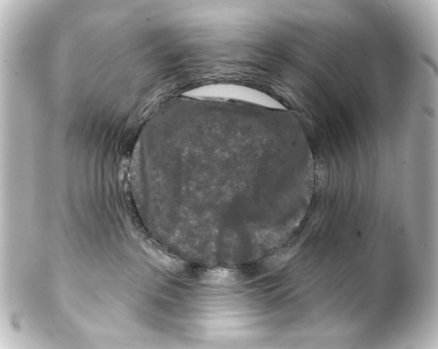 X0000100210237200806271711