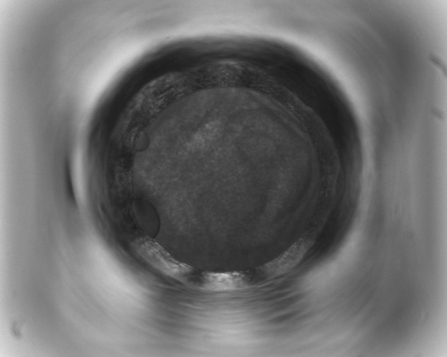 X0000100210239200806271711