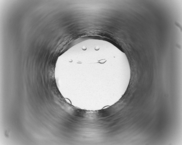 X0000100210240200806271711