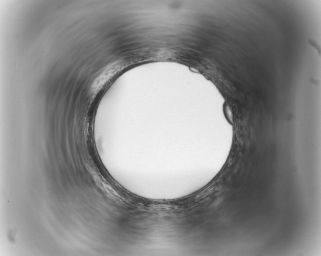 X0000100210242200806271710
