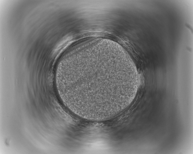 X0000100210243200806271710