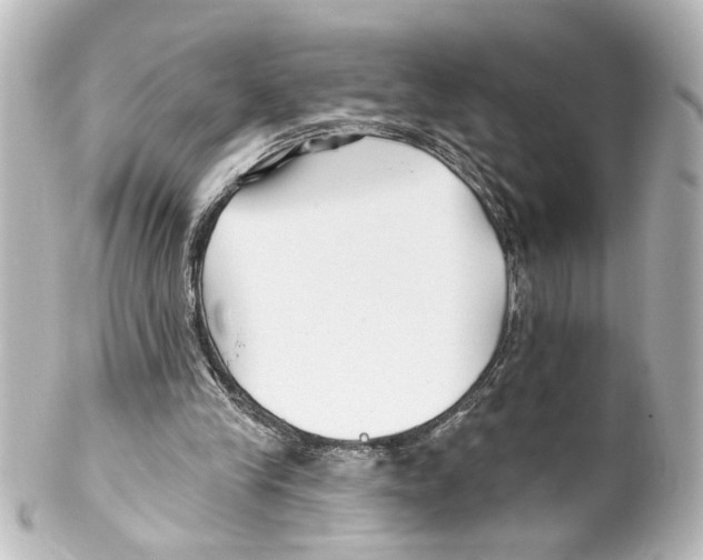 X0000100210245200806271710