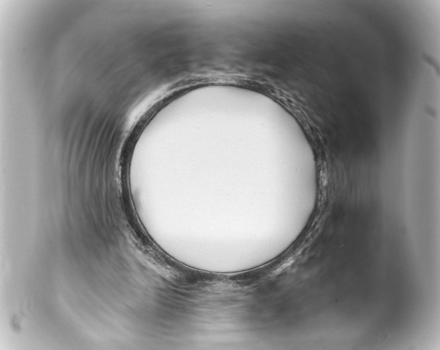 X0000100210246200806271710