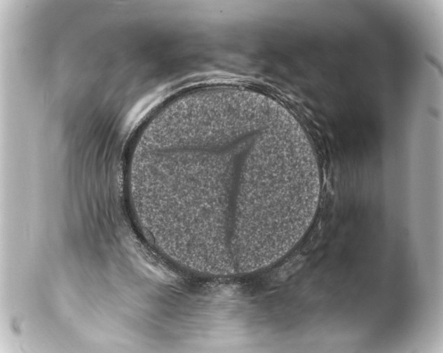 X0000100210247200806271710