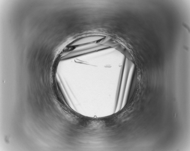 X0000100210248200806271710