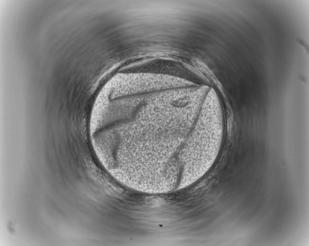 X0000100210249200806271710