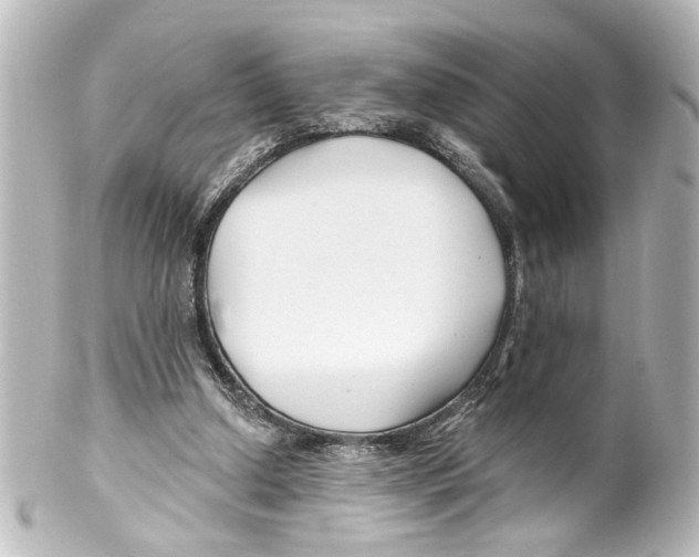 X0000100210250200806271710