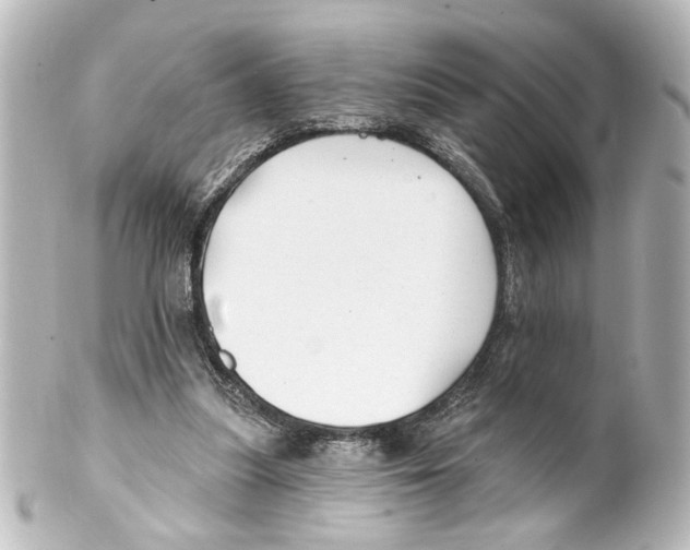 X0000100210251200806271710