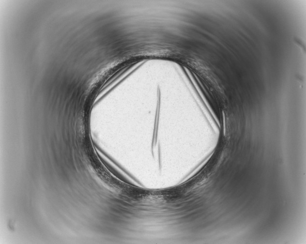 X0000100210252200806271710