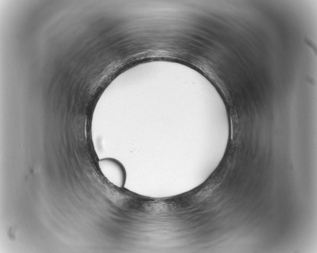 X0000100210253200806271710