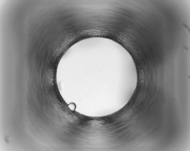 X0000100210255200806271710