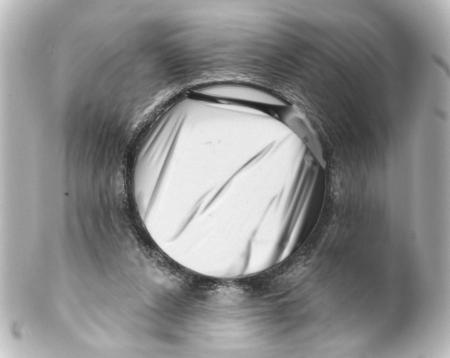 X0000100210256200806271710