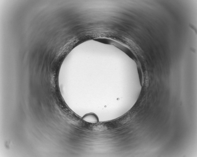 X0000100210258200806271710