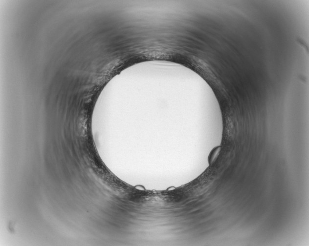 X0000100210259200806271710