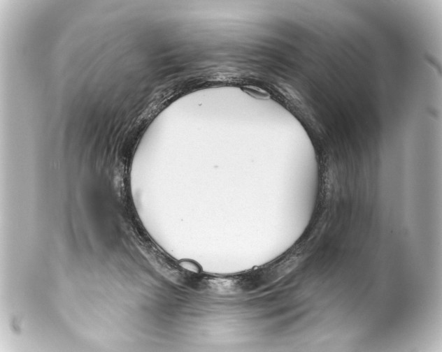 X0000100210265200806271710