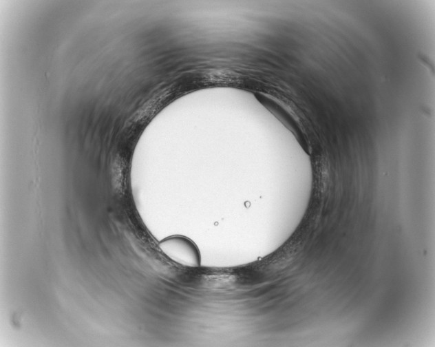 X0000100210266200806271711