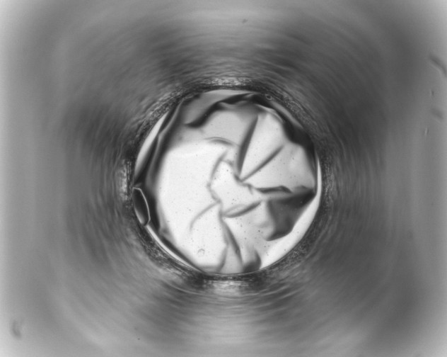 X0000100210268200806271711