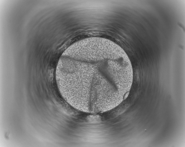 X0000100210271200806271711