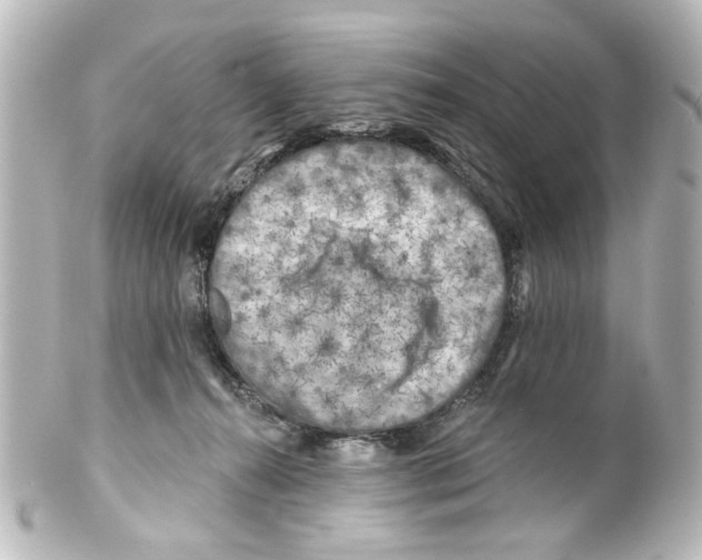 X0000100210272200806271711