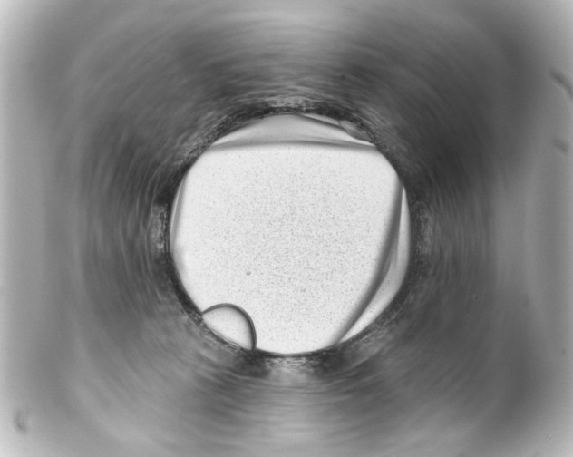 X0000100210273200806271711