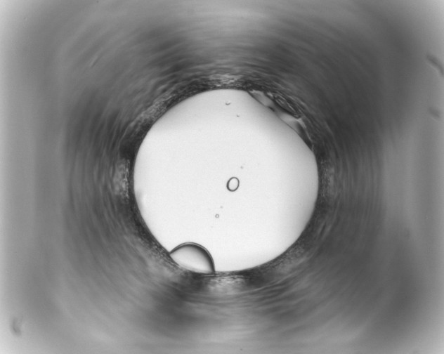X0000100210274200806271711